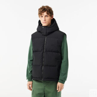 Мужской жилет Lacoste