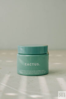 Освежающий крем-сорбет So Natural Cactus Water Sherbet Cream 80g SO NATURAL