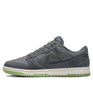 Мужские кроссовки Nike Dunk Low Retro PRM