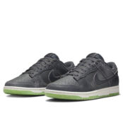 Мужские кроссовки Nike Dunk Low Retro PRM DQ7681-001 фото 2