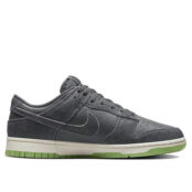 Мужские кроссовки Nike Dunk Low Retro PRM DQ7681-001 фото 3