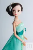 Кукла Sonya Rose, серия "Золотая коллекция", платье Жасмин