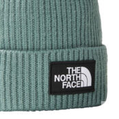 Шапка The North Face Logo Box Cuffed NF0A3FJXI0F1 фото 2