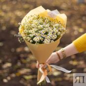 Букет «Нежные ромашки» 96110 фото 1