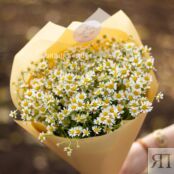 Букет «Нежные ромашки» 96110 фото 2