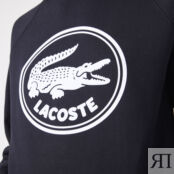 Толстовка Lacoste фото 3