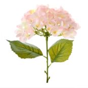 Цветок Hydrangea CozyHome фото 1