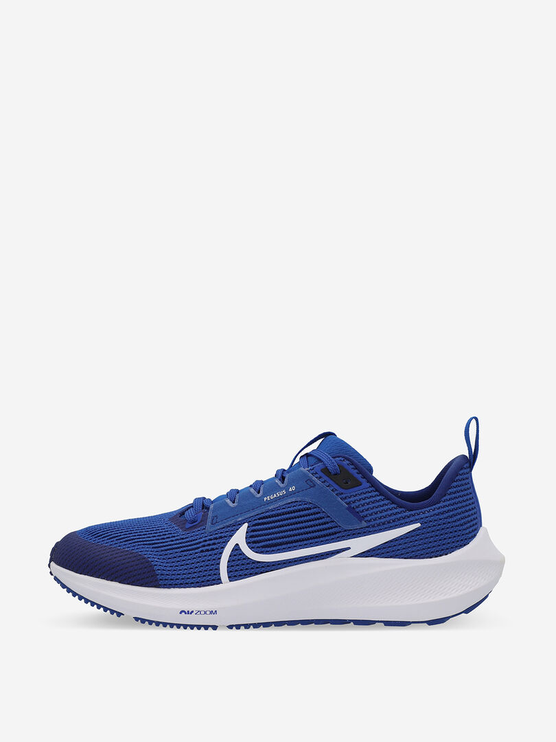 Кроссовки детские Nike Air Zoom Pegasus 40 Gs, Синий DX2498N06-400 фото 1