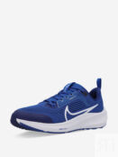 Кроссовки детские Nike Air Zoom Pegasus 40 Gs, Синий DX2498N06-400 фото 2