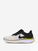 Кроссовки мужские Nike Air Zoom Structure 25, Серый DJ7883N06-103 фото 2