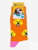 Носки с рисунками St.Friday Socks - Лабрадор, Желтый PETSSBHOS8B-LABRADOR фото 1