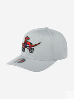 Бейсболка MITCHELL NESS 6HSSMM19487-TRAGREY Toronto Raptors NBA (серый), Се