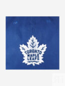 Бейсболка MITCHELL NESS HLUX5369-TMLYYPPPBLUE Toronto Maple Leafs NHL (сини 58-799XDOXM4K-16 фото 5