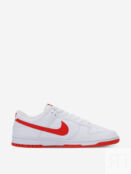 Кеды мужские Nike Dunk Low Retro, Белый DV0831N06-103 фото 5