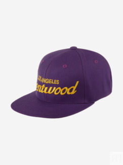 Бейсболка с прямым козырьком HOOD 100-MWL001-CA001-CN Brentwood Laker, CA (