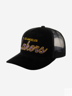 Бейсболка с сеточкой MITCHELL NESS HHSS6002-LALYYPPPBLCK Los Angeles Lakers