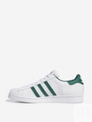 Кеды мужские adidas Superstar, Белый GZ3742A01-. фото 4