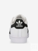 Кеды мужские adidas Superstar, Белый EG4958A01-. фото 4