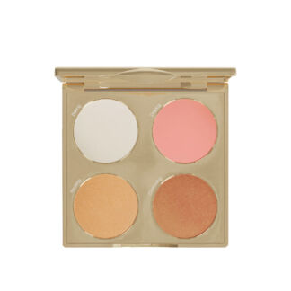 PALETTE ON FLEEK Палетка для макияжа лица SERGE LOUIS ALVAREZ