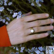 Кольцо-печатка Gold Forget-Me-Not Ring – White MOONSWOON фото 2