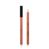 Карандаш для губ Eva Mosaic Make Up Lips Кофейно-розовый 1,1г 3111890 фото 1