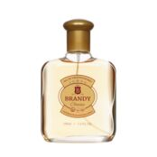 Мужская туалетная вода Brandy Classic 100мл 3146955 фото 4