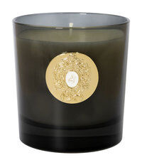 Парфюмированная свеча Tiziana Terenzi Halley Black Glass Candle фото 1