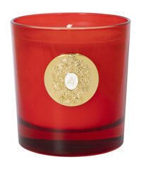 Ароматическая свеча Tiziana Terenzi Tuttle red glass candle фото 1