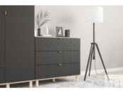 Распашной шкаф Теджонс-3 Deco Grafit фото 5